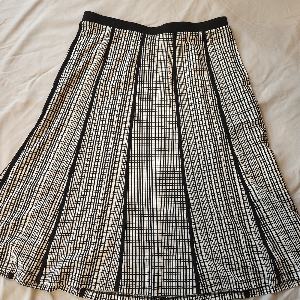 Women's dressy skirt